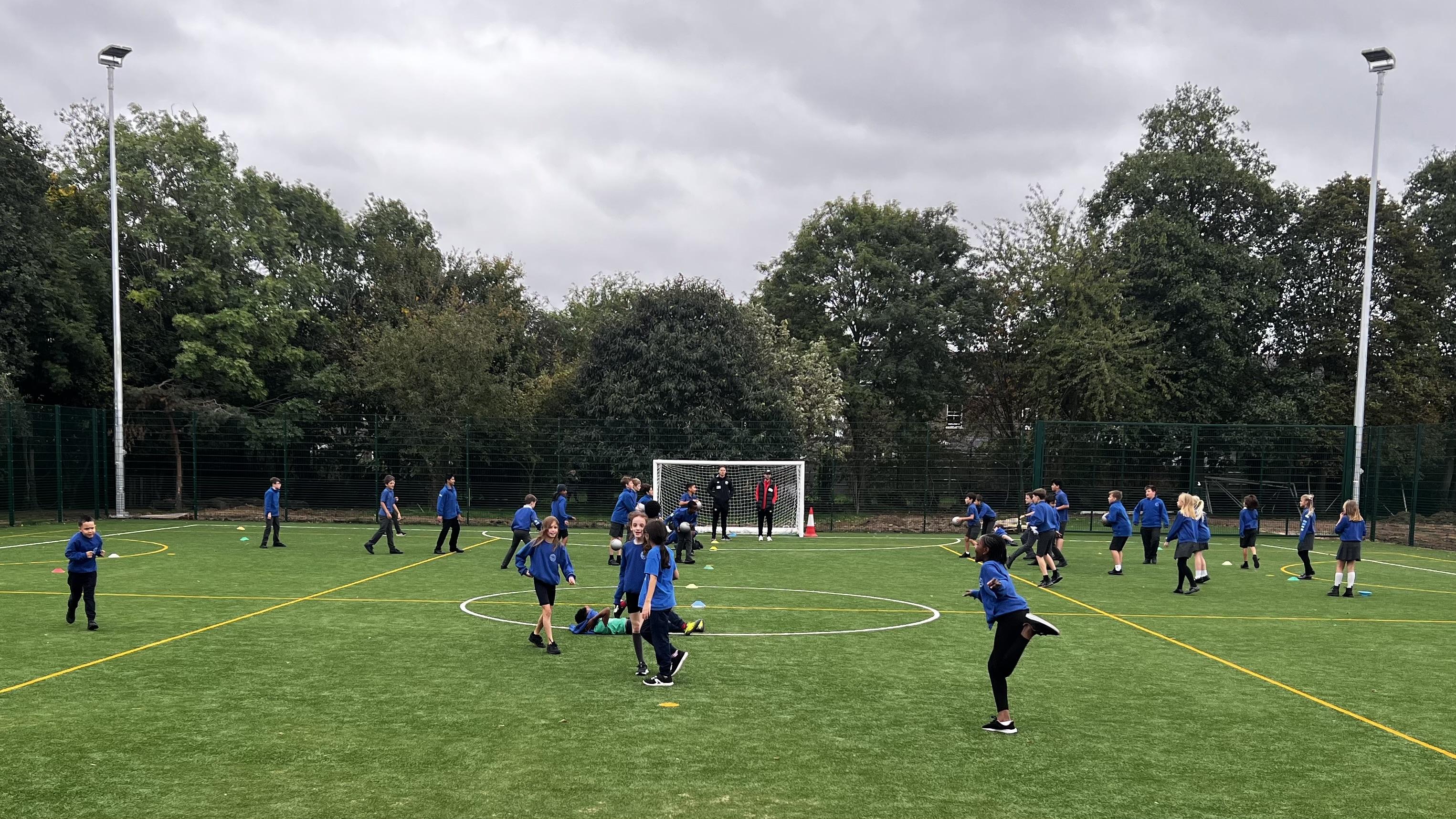 Sand-dressed artificial grass pitch